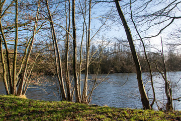 Obraz premium Wanderung durch das Naturschutzgebiet Bustedter Holz mit dem idyllischen See und Brandbach bei Bünde in Ostwestfalen.