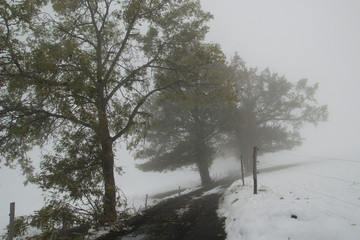 Sentier de promenade de la Loire dans la brume d'hiver