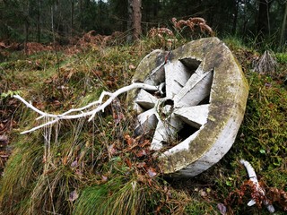 Beautiful closeup of wooden wheel for concept design. Landscape design on the Curonian spit in the...