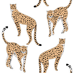 Cheetah wild animal seamless pattern. Exotic wallpaper.