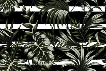 Küchenrückwand glas motiv Musterwelt Tropische dunkelgrüne Blätter nahtlose Muster schwarz-weiß gestreiften Hintergrund. Exotische Dschungeltapete.