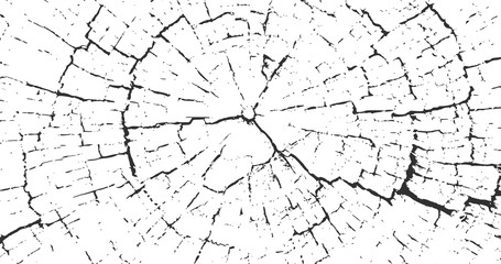 Cracked stump wood texture 4K background. VWood material surface. Vintage effect grit texture. Natural wooden stump trace. Lumber surface. Vector illustration