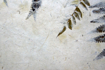 paper with plants and fibers closeup foliage  