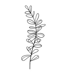 Single hand drawn Modern branch with leaves on the white  background. Doodle vector illustration Isolated. Design Botanical element for invitations, wedding greeting cards, announcements. Outline art
