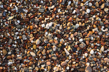 Sand, rocks and foam on the resort beach close-up