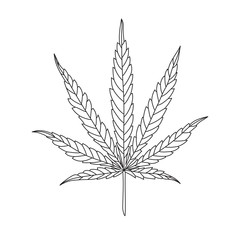 Hemp Leaf Line Drawing on White Background