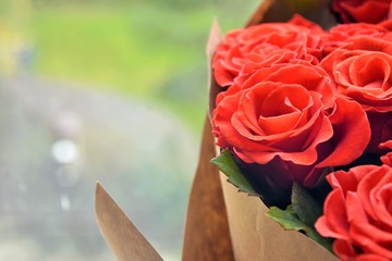 Red roses background. beautiful lush lava roses with selective focus in craft paper. St valentines...