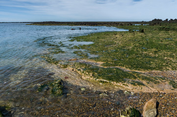 Stone shoal at low tide, Peninsula Valdes, Patagonia, Argentina