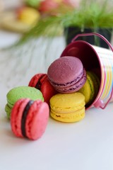 Colorful macarons cakes. Small French cakes. Top view. Pastel colors. Pastry, bakery and branding concept.