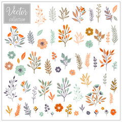 Set of flat flower. Cute retro illustrations in bright colors for stickers, labels, tags, scrapbooking. Flowers. Vector collection