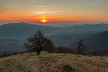 Fine evening in the autumn Carpathians. The tree silhouette with naked branches stands out against a beautiful decline clearly. Mountain landscape with juicy shades of blue, yellow and orange colors. 