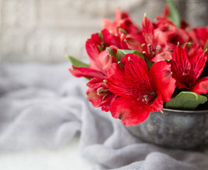 Red Alstroemeria in Tarnished Silver Bowl on Gray Background