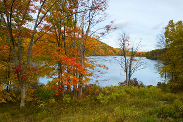 Autumn Lake View