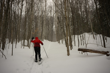 New Hampshire Skiing