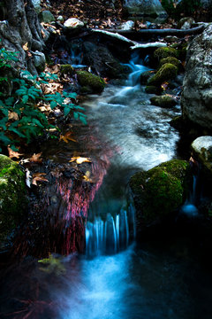 waterfall in the forest