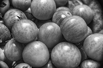 Cherry tomatoes. Vegetables from the garden