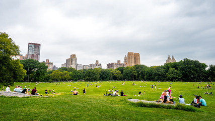 Clear day in Central park , Green space in the heart of Manhattan , New york city