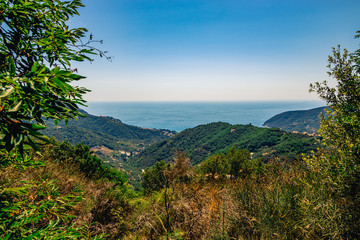 sea view from the hill italy panorama