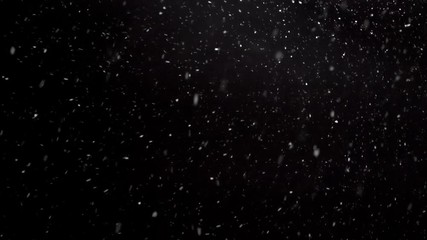 It is snowing in cold winter, Real snow falls on black background