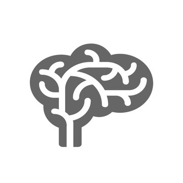 Vector outline illustration of human brain on white background