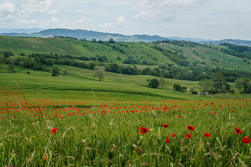 Countryside view in Italy