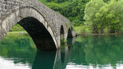Fototapeta na wymiar ancient arched stone bridge on Lake Skadar, montenegro