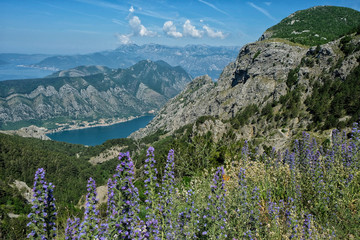 Kotor Bay in Medditerrean sea, Montenegro