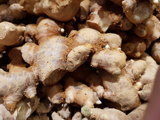 Ginger on display shelf at a market