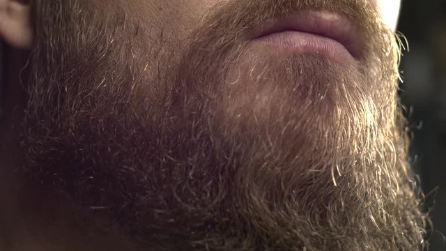 white bearded hipster man combing his beard with a comb