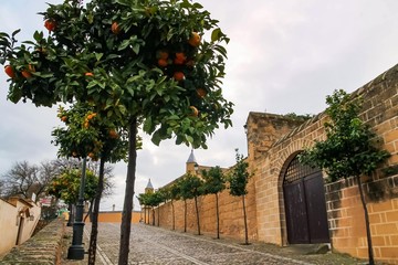 Stone pavement, old walls and orange trees. Andalusia Spain