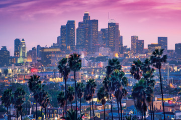 Geweldig uitzicht op de zonsondergang met palmboom en het centrum van Los Angeles. Californië, VS