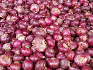 Small red onion on display shelf at a market