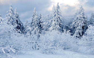 Fototapeta na wymiar Winterstimmung auf dem Großen Feldberg im Taunus