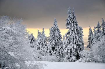 Obraz premium Winterstimmung auf dem Großen Feldberg im Taunus