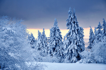 Winterstimmung auf dem Großen Feldberg im Taunus