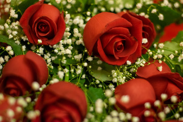 bouquet of red roses on red valentine's day background