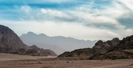 panoramic view of desert with rocky mountains in Egypt