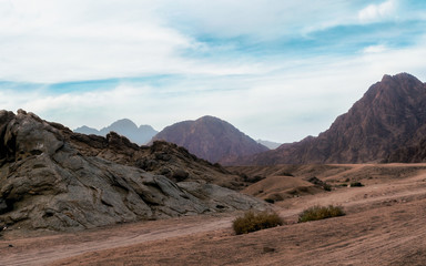 panoramic view of desert with rocky mountains in Egypt
