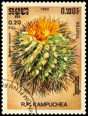 Cactus Parodia maassii on postage stamp
