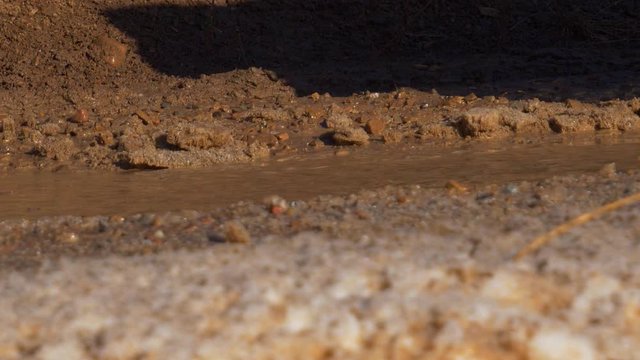 Truck or jeep with big, off road tires drives through mud, water and snow in slow motion with mud splashing everywhere - close up