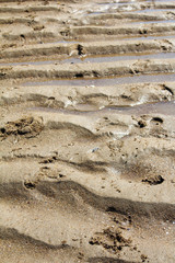 Plage à marée basse