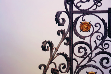 Fototapeta na wymiar vintage gothic ornament elements, antique floral designs