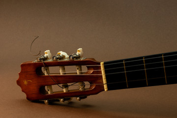 Acoustic Guitar, partial close-up view of headstock and capstan or string post, dusty abandoned on...