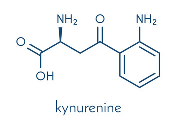 Kynurenine molecule. Skeletal formula.