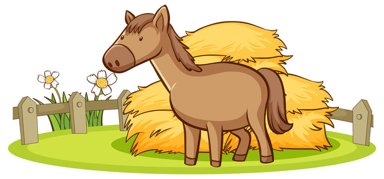 Isolated picture of horse on the farm