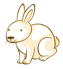 Fototapeta na wymiar Cute bunny on white background