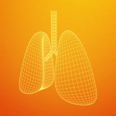 Lungs with trachea bronchi internal organ human. Pulmonology medicine science technology concept. Wireframe low poly mesh vector illustration