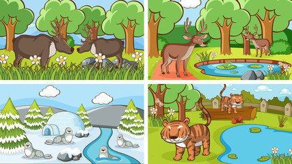 Background scenes of animals in the wild