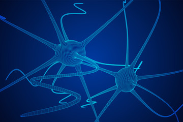 Neuron system wireframe mesh model. Low poly vector illustration. Science and medical healthcare concept