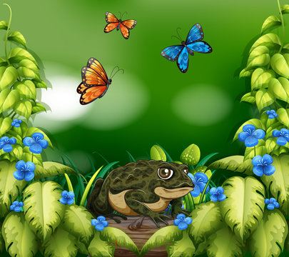 Background scene with frog and butterflies